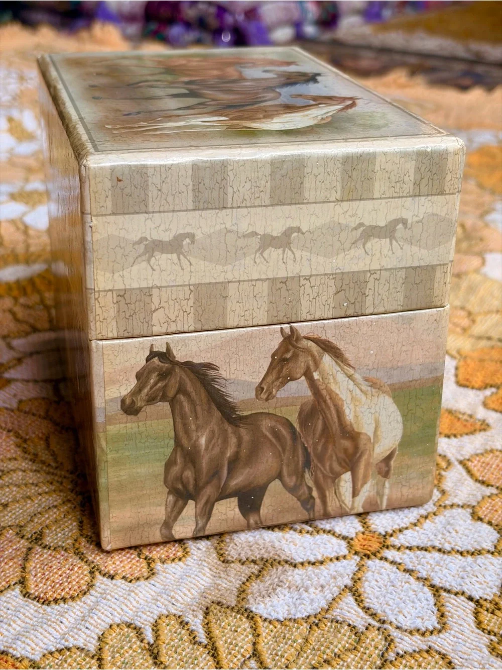 🐎🌾✨ Vintage Y2K Horse Recipe Box ✨🌾🐎